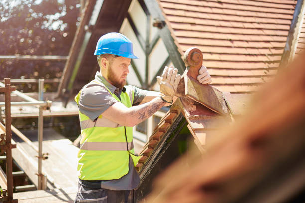 Roof Gutter Cleaning in Wahneta, FL
